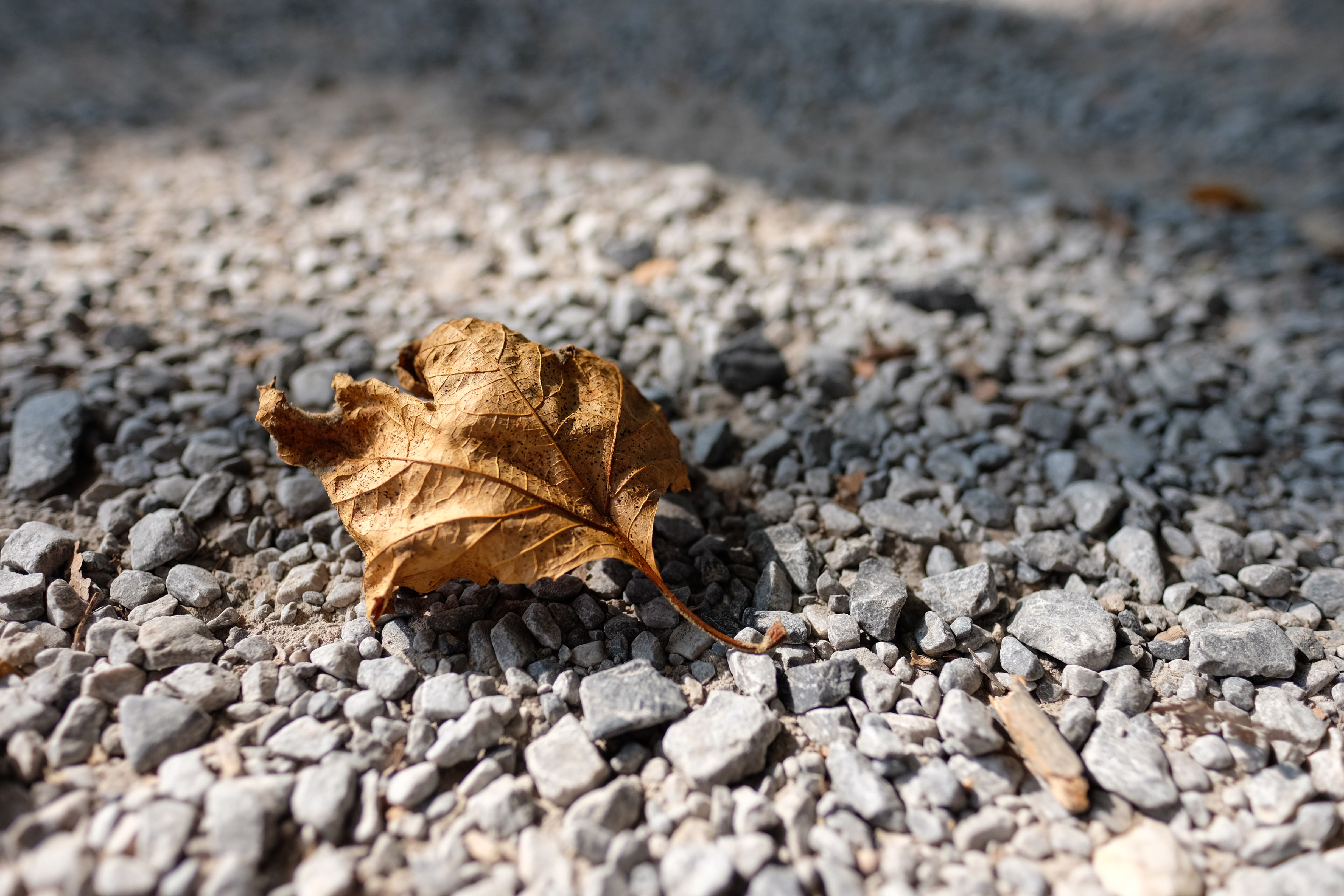 unbenannte Fotosession-0442